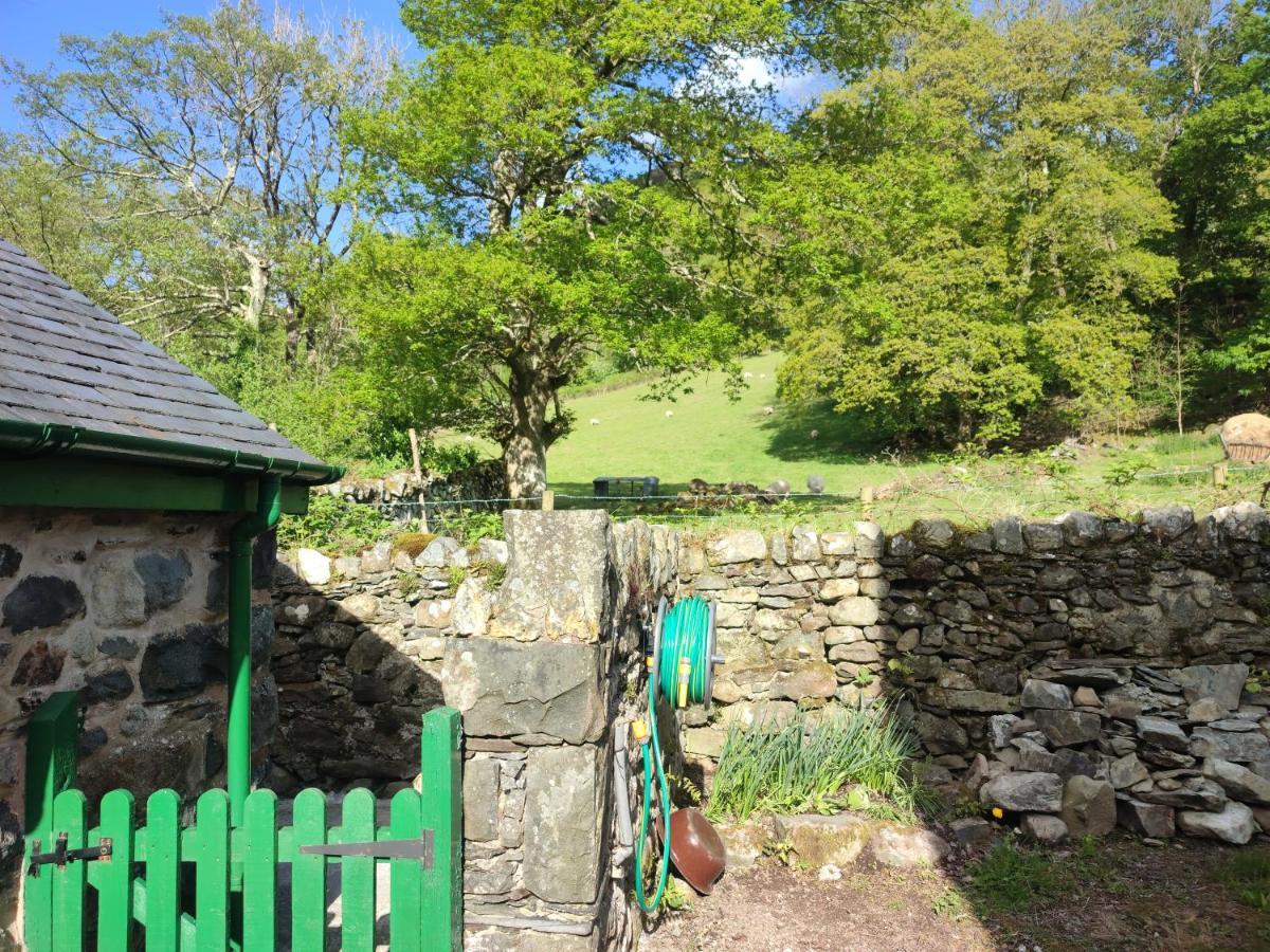 Y Gribyn - Modern Stone Cottage Within Snowdonia'S National Park Dolgellau Buitenkant foto