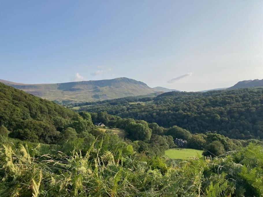 Y Gribyn - Modern Stone Cottage Within Snowdonia'S National Park Dolgellau Buitenkant foto