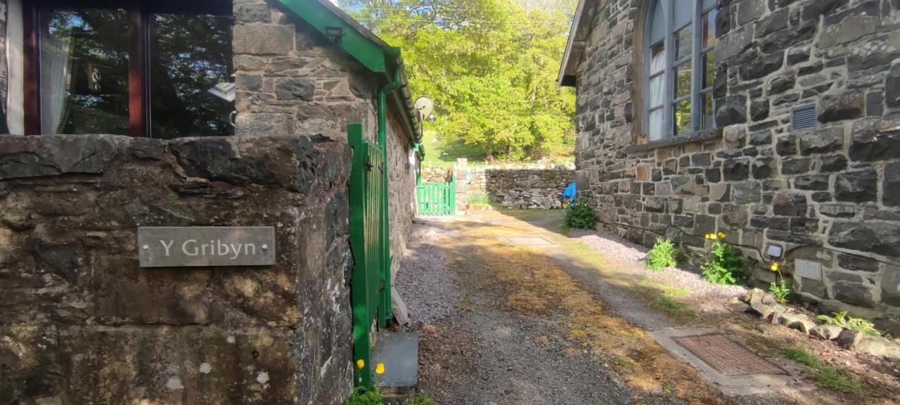 Y Gribyn - Modern Stone Cottage Within Snowdonia'S National Park Dolgellau Buitenkant foto
