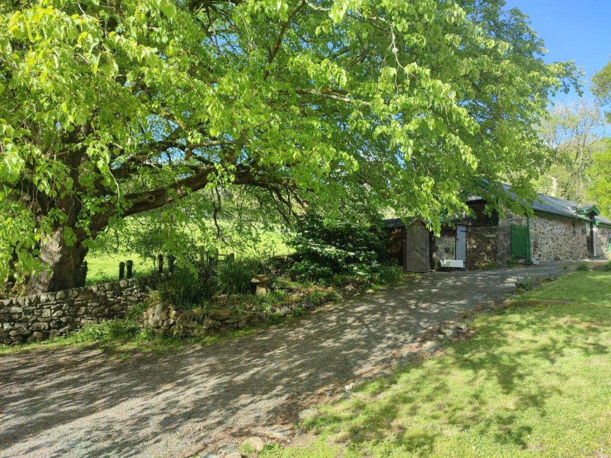 Y Gribyn - Modern Stone Cottage Within Snowdonia'S National Park Dolgellau Buitenkant foto